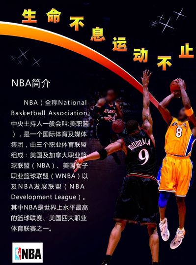 软件